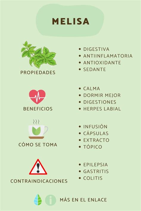 Infografía mostrando los principales beneficios de la melisa para el cuerpo