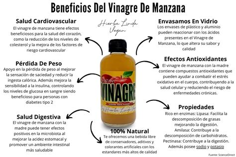 Infografía que detalla la composición del vinagre de sidra de manzana, incluyendo el ácido acético y la 