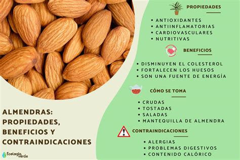 Infografía comparativa: perfil nutricional de la mantequilla de almendras vs. otros frutos secos