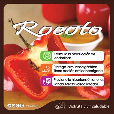 Infografía destacando los beneficios nutricionales del rocoto, como Vitamina C y capsaicina.