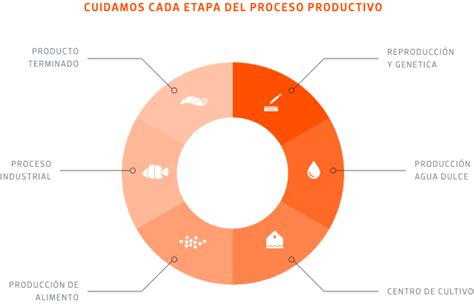 Esquema del ciclo productivo integrado: desde la genética y acuicultura hasta el procesamiento industrial y la logística global.