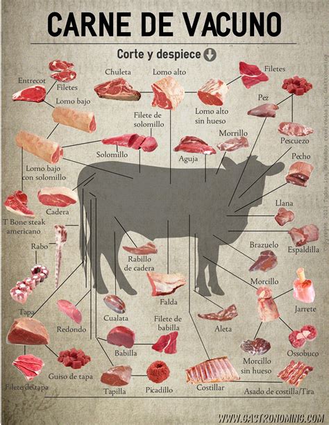 Infografía comparativa: Diferencias entre cortes de carne vacuna, cerdo y opciones vegetarianas en formato congelado.