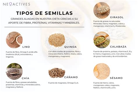 Infografía detallando los tipos de semillas comunes en la tortilla de pan semilla jumbo y sus beneficios nutricionales.