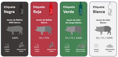 Esquema visual que explica las cuatro categorías del jamón ibérico según su etiqueta: negra, roja, verde y blanca.