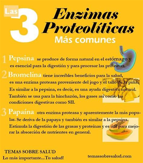 Ilustración de frutas que contienen enzimas proteolíticas y frutas adecuadas para gelatina.