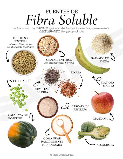 Esquema sobre cómo la fibra soluble de la pera interactúa en el sistema digestivo para controlar lípidos.