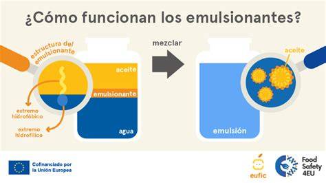 Esquema sobre la función de los emulsionantes y estabilizadores en la textura de los alimentos