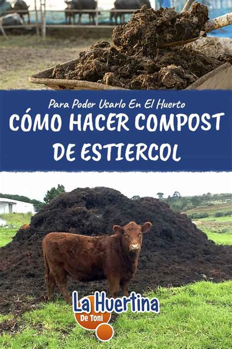 Ingredientes para compost de champiñones (estiércol de caballo, paja, yeso, urea)