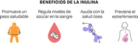 Infografía sobre cómo la inulina actúa en el sistema digestivo