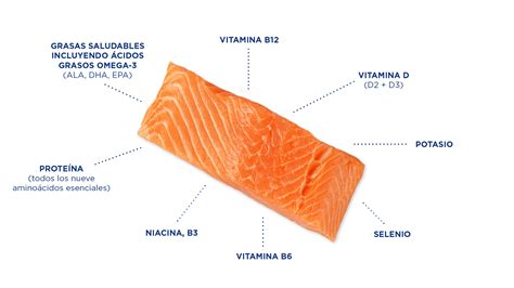 Infografía: Propiedades nutricionales del salmón