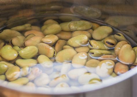 Esquema visual del proceso: remojo de habas, triturado con agua, filtrado a través de tela y cocción final