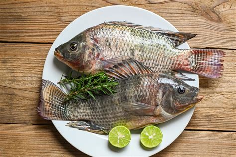 Tilapia fresca en un plato, mostrando su textura y color antes de la preparación