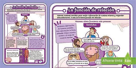 Infografía sencilla explicando la relación entre la dieta y el sabor de los fluidos corporales.