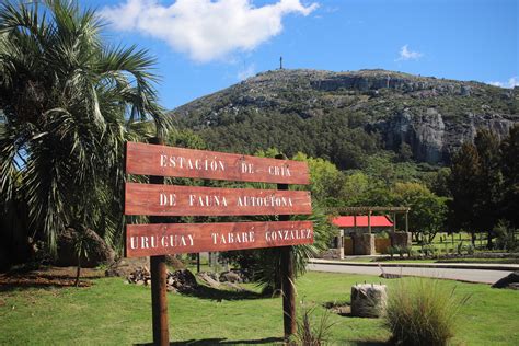 Fotografía aérea de la Estación de Cría con el Cerro Pan de Azúcar de fondo