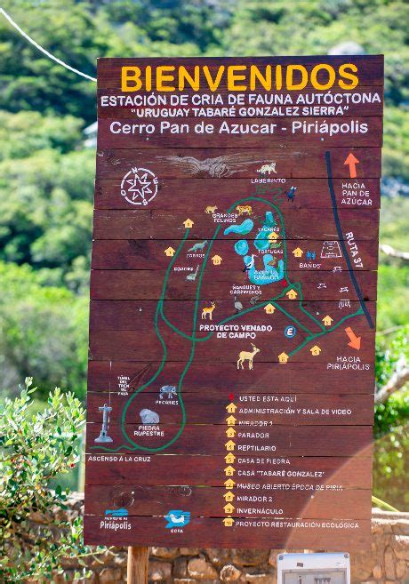 Fotografía de un tramo del sendero de ascenso al Cerro Pan de Azúcar