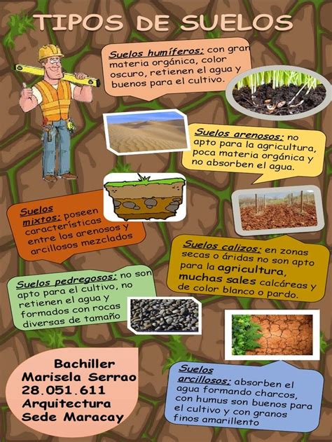 Infografía comparativa de diferentes tipos de suelo para el cultivo de cebolla, destacando el drenaje y la retención de humedad.