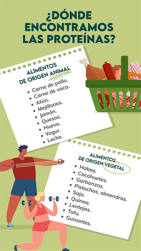 Infografía sobre los beneficios de la proteína en la dieta y fuentes naturales de endulzantes