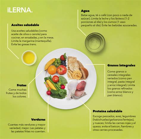 Guía visual de una alimentación saludable y equilibrada, destacando la variedad de alimentos
