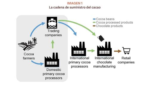 Infografía que muestra la cadena de suministro del cacao desde la plantación hasta el consumidor, destacando los puntos de explotación y deforestación.