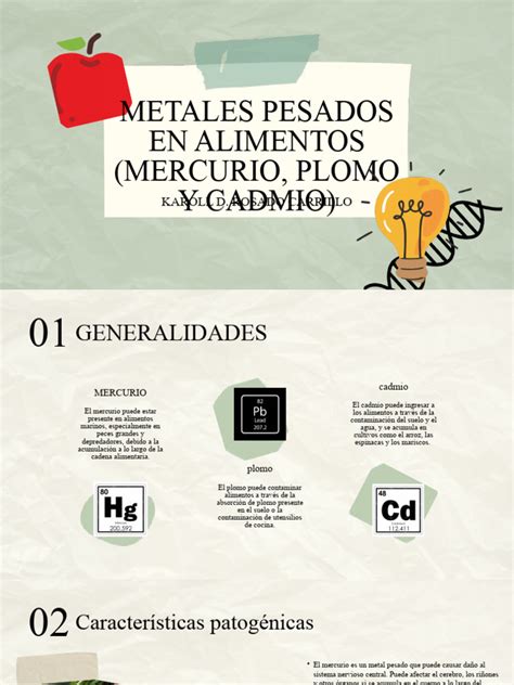 Diagrama que ilustra cómo los metales pesados (plomo y cadmio) pueden contaminar el cacao en diferentes etapas de la producción.