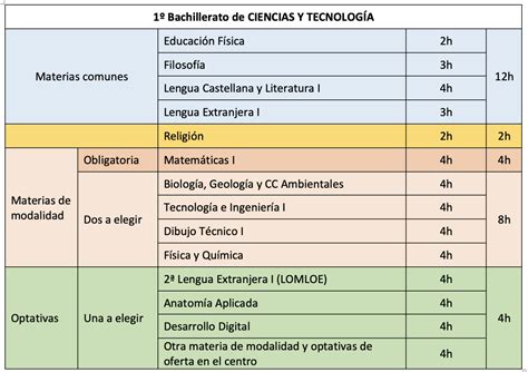 Infografía: Distribución de las asignaturas impartidas por Alejandra Klenner Salmones