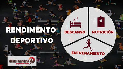 Infografía que muestra la jerarquía del rendimiento deportivo: base de entrenamiento, nutrición y descanso, con los suplementos en un nivel complementario.