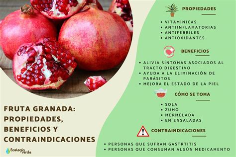 Esquema nutricional de la granada destacando sus vitaminas y propiedades antioxidantes