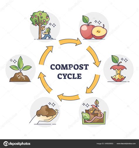 Diagrama o infografía del proceso de compostaje del estiércol
