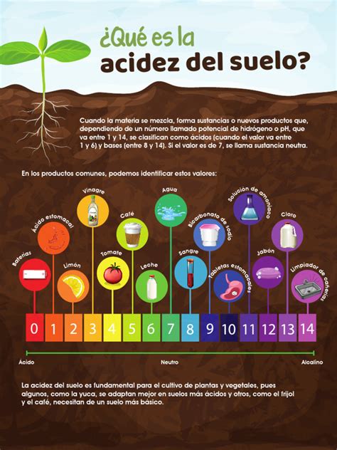 infografía sobre plantas indicadoras de acidez del suelo