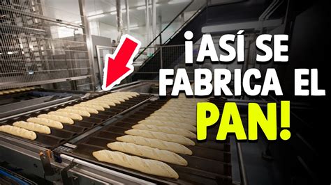 Infografía que muestra los pasos básicos de la producción de pan y pastelería industrial