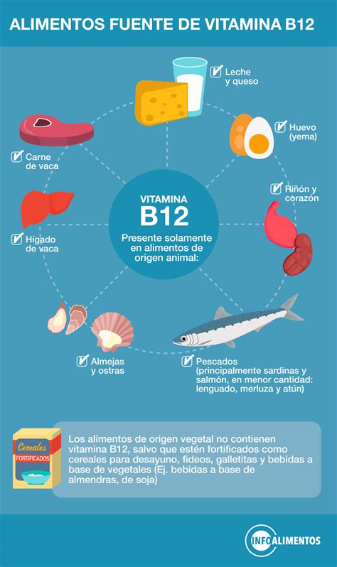 Infografía detallando las funciones de la vitamina B12