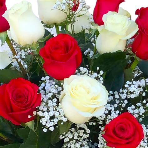 Imagen de un ramo de rosas rojas, amarillas y blancas, cada una representando diferentes emociones.