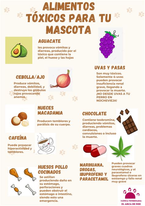 Infografía de alimentos tóxicos para conejos.