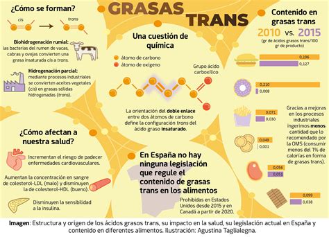 Esquema de las grasas trans y su impacto en el cuerpo
