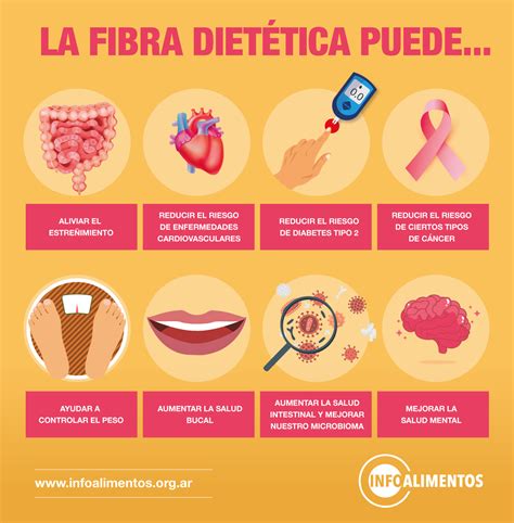 Esquema: Beneficios digestivos de la fibra de centeno