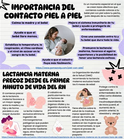 Infografía que muestra el desarrollo del bebé y la importancia del contacto piel con piel para su seguridad emocional.