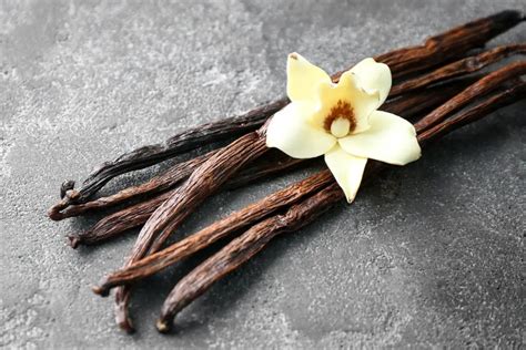 Vaina de vainilla y sus semillas infusionando en leche templada.