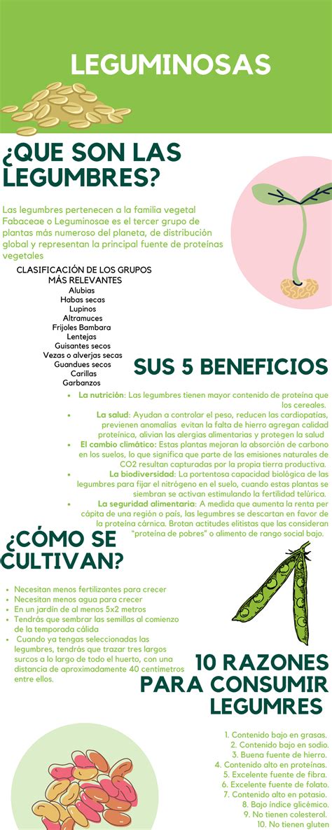 Infografía: Beneficios de las leguminosas en la dieta