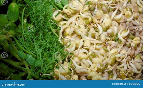 Primer plano de arvejas germinadas frescas