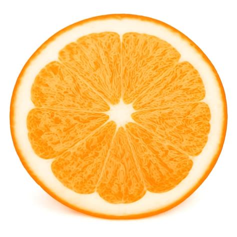 Ilustración de una naranja cortada por la mitad, mostrando la pulpa y el juego de luces y sombras.