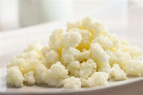 Gránulos de kéfir de leche con aspecto de coliflor