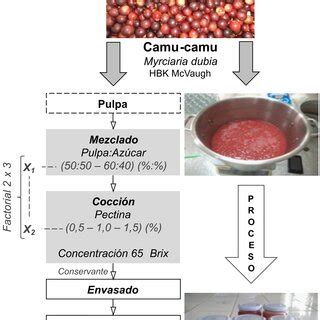 Diagrama de flujo del proceso de elaboración casera de kéfir de leche