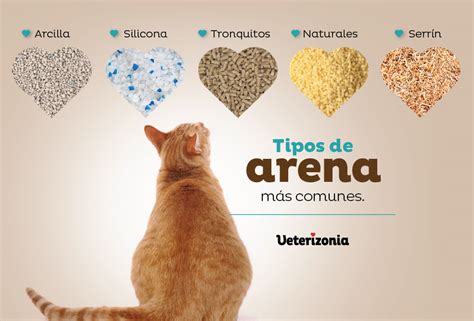 Comparación de diferentes tipos de arena para gatos, resaltando las opciones biodegradables.