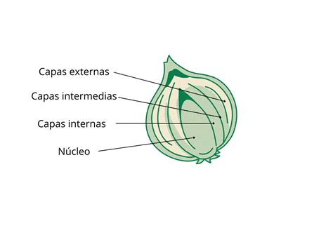 Infografía que muestra las capas de una cebolla morada y sus principales nutrientes destacados