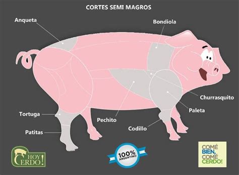 Esquema comparativo de cortes magros de cerdo y su contenido nutricional