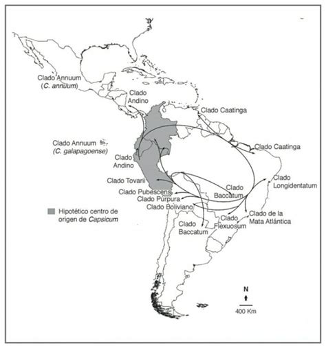 Mapa de distribución del género Capsicum, indicando centros de origen y diversificación en América.