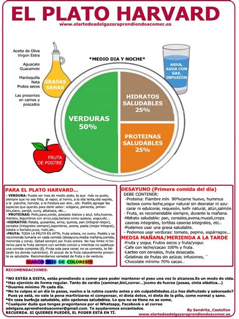 Esquema comparativo entre el plato de Harvard (equilibrado) y la composición nutricional de una dieta basada en comida rápida.
