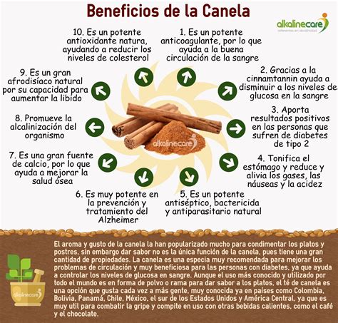 Infografía detallando los principales beneficios para la salud de la canela en polvo.
