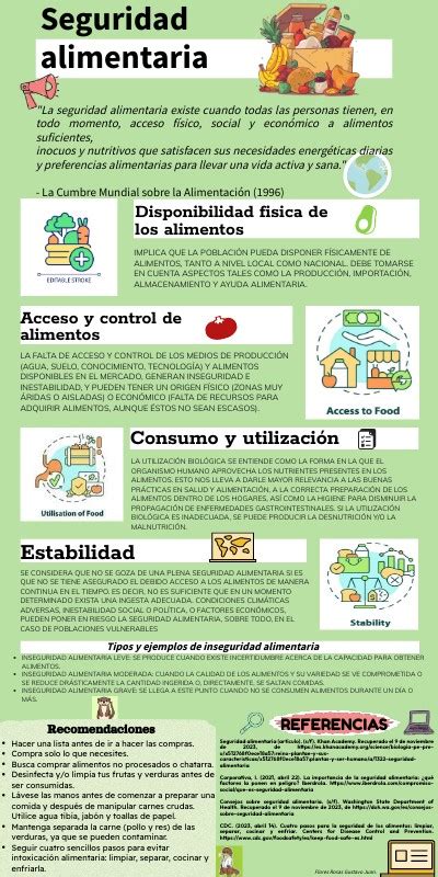 infografía sobre la cadena de seguridad alimentaria: desde la compra y lavado hasta la cocción y conservación correcta de alimentos