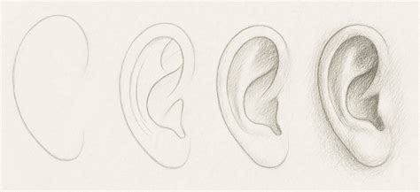 Instrucciones paso a paso para dibujar, cortar y ensamblar las orejas de Dobby en una diadema o gorro